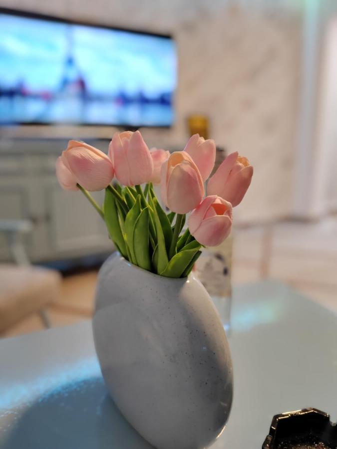 Nora 1 Apartment Sremska Mitrovica Ngoại thất bức ảnh